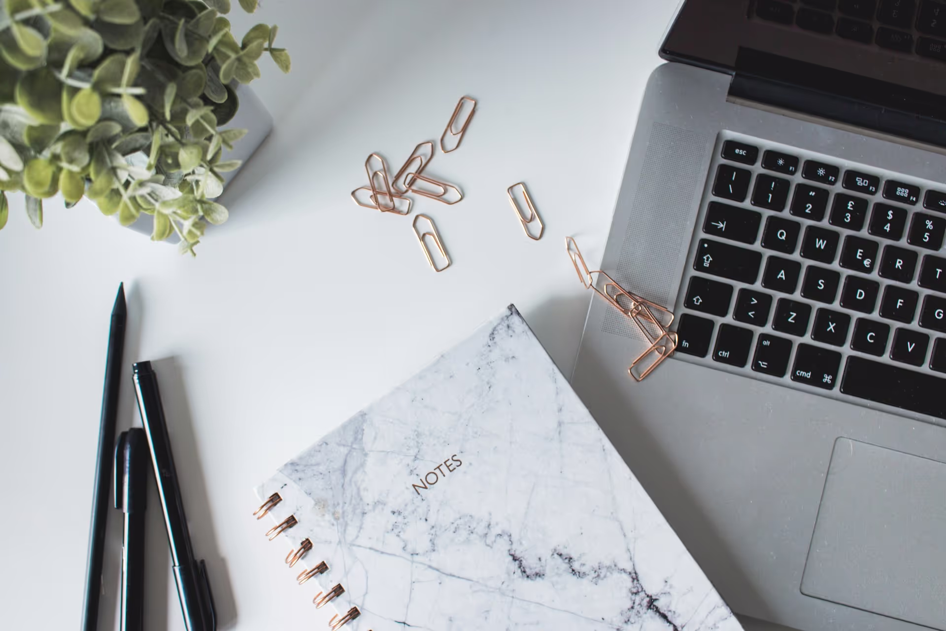 How to Build an MVP App with Buildverio